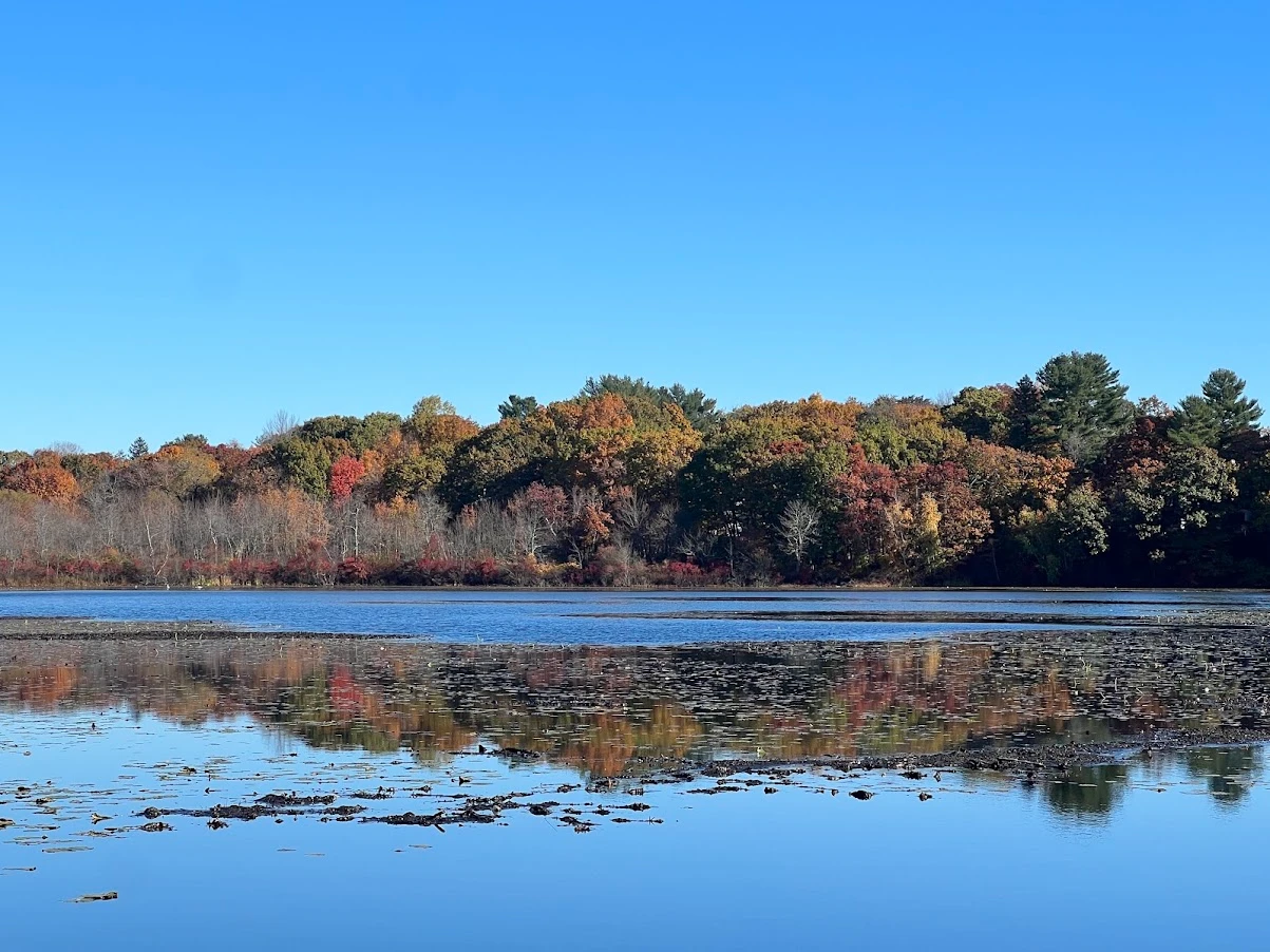 Webster Conservation Area